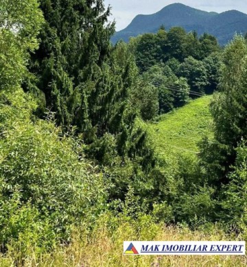 teren-5469-mp-intravilan-podu-dambovitei-dambovicioara-arges-13