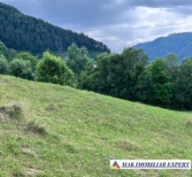 teren-5469-mp-intravilan-podu-dambovitei-dambovicioara-arges