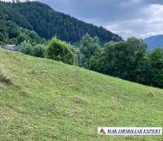 teren-5469-mp-intravilan-podu-dambovitei-dambovicioara-arges-14