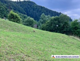 teren-5469-mp-intravilan-podu-dambovitei-dambovicioara-arges-18