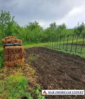 teren-3520-mp-intra-extravilan-in-draghici-mihaesti-arges-2