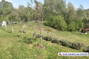 teren-3520-mp-intra-extravilan-in-draghici-mihaesti-arges-6