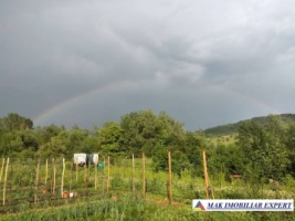 teren-3520-mp-intra-extravilan-in-draghici-mihaesti-arges-5