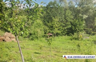 teren-3520-mp-intra-extravilan-in-draghici-mihaesti-arges-3