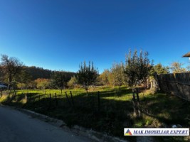 casa-2-cam-teren-5000-mp-valea-mare-pravat-namaiesti-arges-11