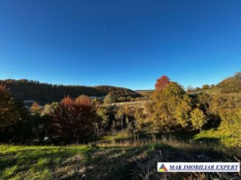 casa-2-cam-teren-5000-mp-valea-mare-pravat-namaiesti-arges-12