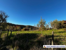 casa-2-cam-teren-5000-mp-valea-mare-pravat-namaiesti-arges-13