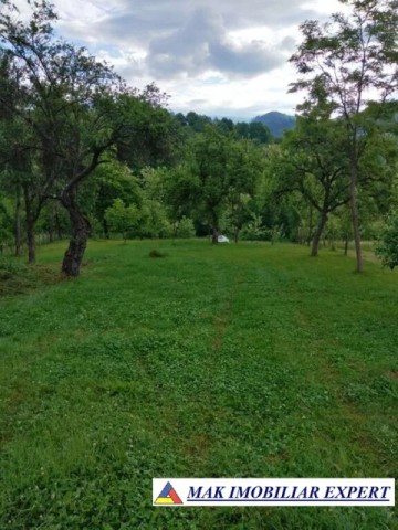 vila-4-camere-teren-5200-mp-bughea-de-sus-arges-7