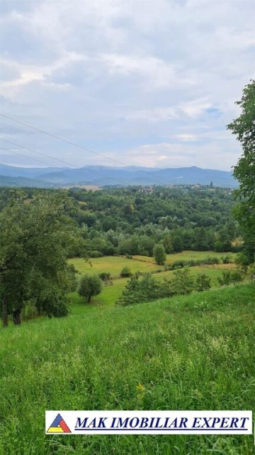 casa-4-camere-teren-3500-mp-bughea-de-sus-4