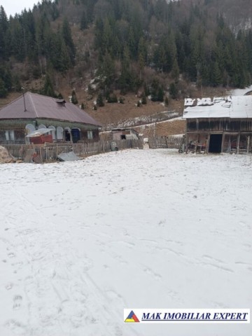 casa-musceleana-2-camere-teren-2723-mp-rucar-satic-arges-4