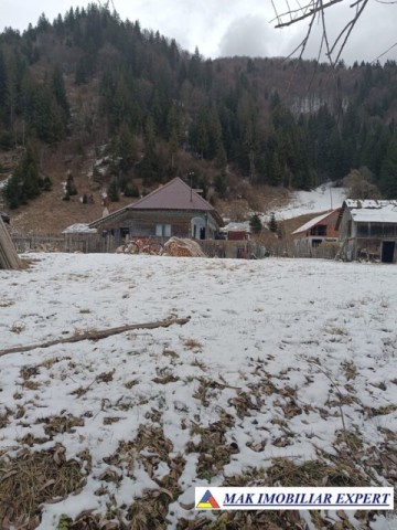 casa-musceleana-2-camere-teren-2723-mp-rucar-satic-arges-5