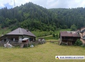 casa-musceleana-2-camere-teren-2723-mp-rucar-satic-arges