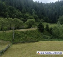 casa-musceleana-2-camere-teren-2723-mp-rucar-satic-arges-12