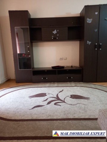 tepari-apartament-2-camere-de-inchiriat-confort-1-etaj-p-din-4-visoi-campulung-muscel-arges-3