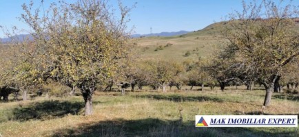 teren-extravilan-de-4618-mp-cu-livada-valea-mare-pravat-arges-1