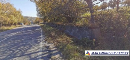teren-extravilan-de-4618-mp-cu-livada-valea-mare-pravat-arges-5