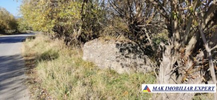 teren-extravilan-de-4618-mp-cu-livada-valea-mare-pravat-arges-4