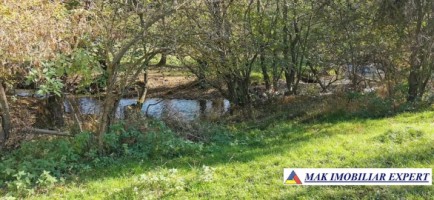 teren-extravilan-de-4618-mp-cu-livada-valea-mare-pravat-arges-3