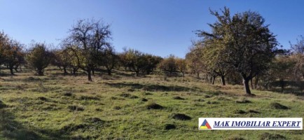 teren-extravilan-de-4618-mp-cu-livada-valea-mare-pravat-arges-2
