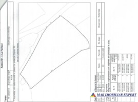 teren-extravilan-de-4618-mp-cu-livada-valea-mare-pravat-arges-6