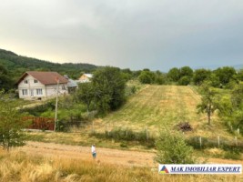 teren-de-casa-1600-mp-in-deal-retevoiesti-domnesti-arges-1