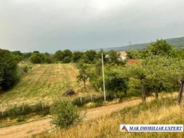teren-de-casa-1600-mp-in-deal-retevoiesti-domnesti-arges