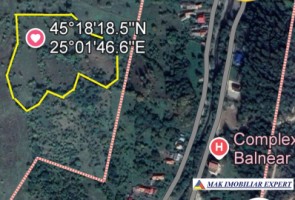 teren-extravilan-109-ha-de-vanzare-in-bughea-de-sus-arges-8