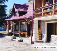 vand-vila-la-munte-7-camere-teren-830-mpin-corbi-arges-1