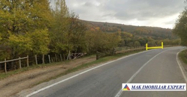 teren-2500-mp-extravilan-in-suslanesti-mioarele-arges