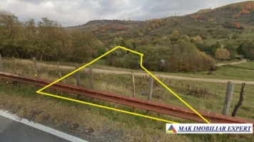 teren-2500-mp-extravilan-in-suslanesti-mioarele-arges-4