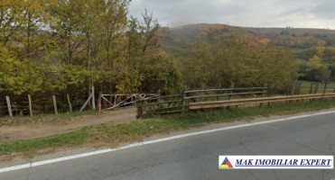 teren-2500-mp-extravilan-in-suslanesti-mioarele-arges-1