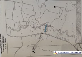 teren-2500-mp-extravilan-in-suslanesti-mioarele-arges-10