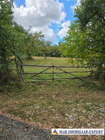 vand-teren-intravilan-de-4618-mp-situat-in-valea-mare-pravat-selari-arges-1