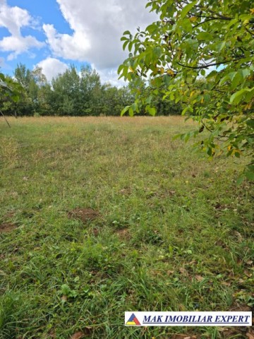 vand-teren-intravilan-de-4618-mp-situat-in-valea-mare-pravat-selari-arges-3