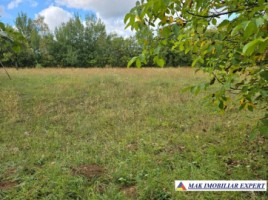 vand-teren-intravilan-de-4618-mp-situat-in-valea-mare-pravat-selari-arges-2
