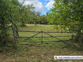 vand-teren-intravilan-de-4618-mp-situat-in-valea-mare-pravat-selari-arges