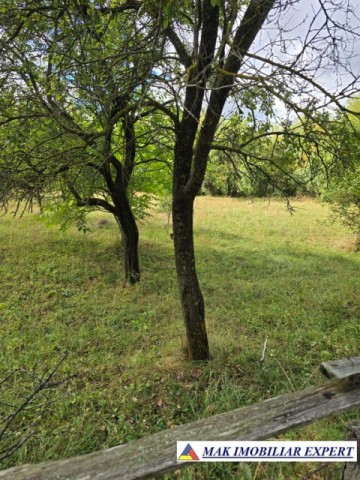 vand-teren-intravilan-de-4618-mp-situat-in-valea-mare-pravat-selari-arges-5