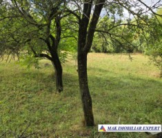 vand-teren-intravilan-de-4618-mp-situat-in-valea-mare-pravat-selari-arges-4