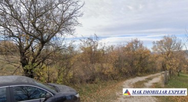 vand-teren-intravilan-de-4618-mp-situat-in-valea-mare-pravat-selari-arges-8