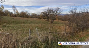 vand-teren-intravilan-de-4618-mp-situat-in-valea-mare-pravat-selari-arges-10