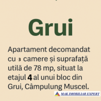 ocupat-iunie-2026-vand-apartament-3-camere-confort-1-et-4-grui-campulung-muscel-arges