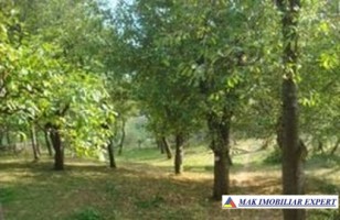 teren-intravilan-620-mp-in-bradulet-galesu-arges