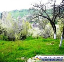 teren-1007-mp-intravilan-v-romanestilor-campung-muscel-ag