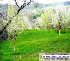 teren-1007-mp-intravilan-v-romanestilor-campung-muscel-ag-1