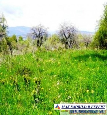 teren-1007-mp-intravilan-v-romanestilor-campung-muscel-ag-3