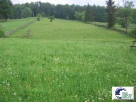 valea-neagra-teren-de-vanzare-1