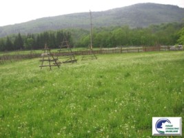 valea-neagra-teren-de-vanzare-2