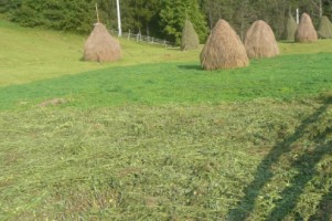 valea-neagra-teren-de-vanzare-3