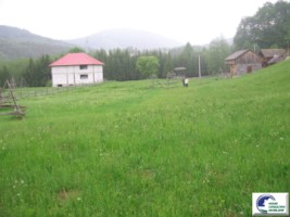 valea-doftanei-teren-intravilan-3