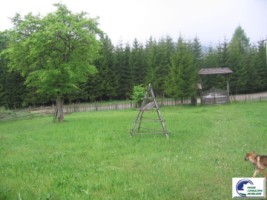 valea-doftanei-teren-intravilan-4